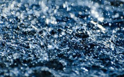 Co&nbsp;mają emocje do&nbsp;prysznica?