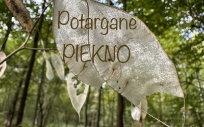 Potargane Piękno