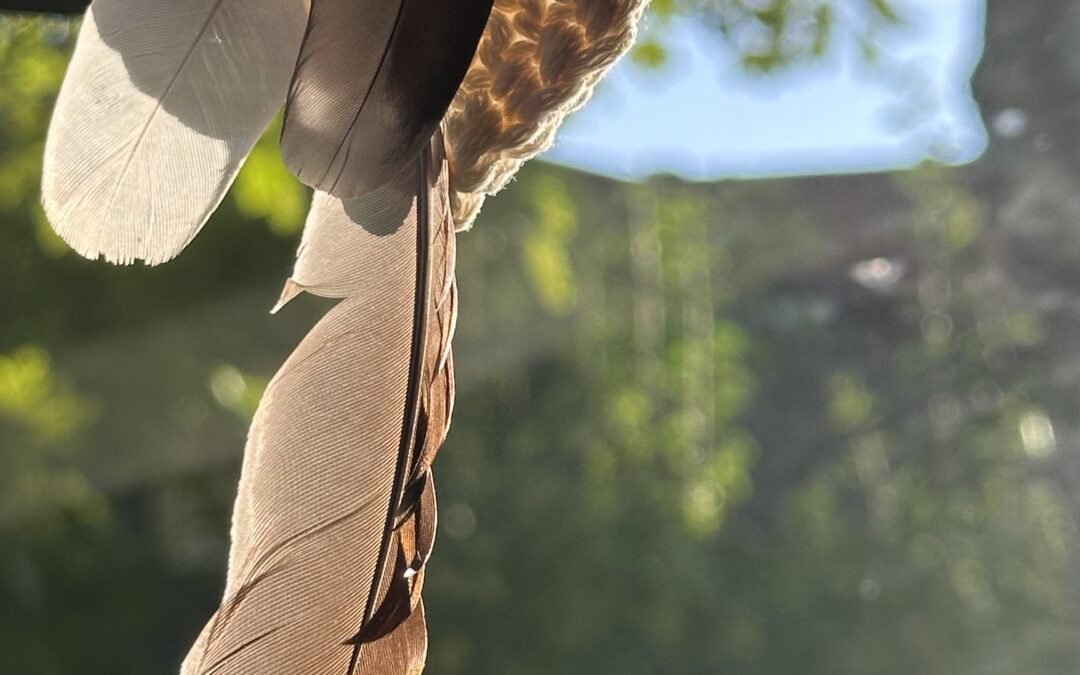 Najbardziej wstydliwa emocja